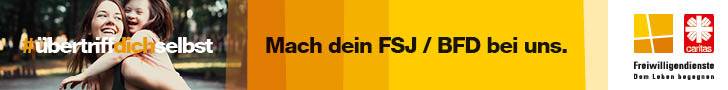 Werbebanner für FSJ mit Frau und Kind