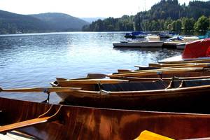 Aussicht auf den Titisee in Titisee-Neustadt