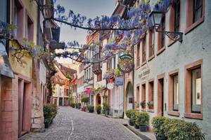Ansicht von einer Gasse mit Lila Blumen