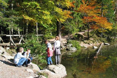 Kinder am Feldsee beim Haus Feldberg-Falaku