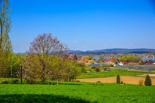 Ausblick vom Haus Insel Reichenau